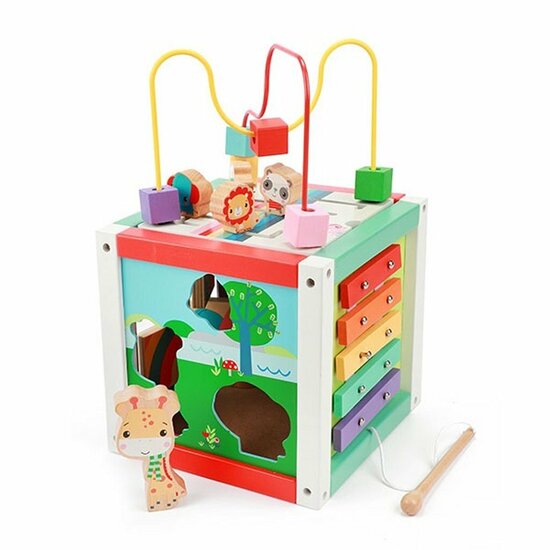 Fisher Price 5in1 Houten Activiteitenkubus