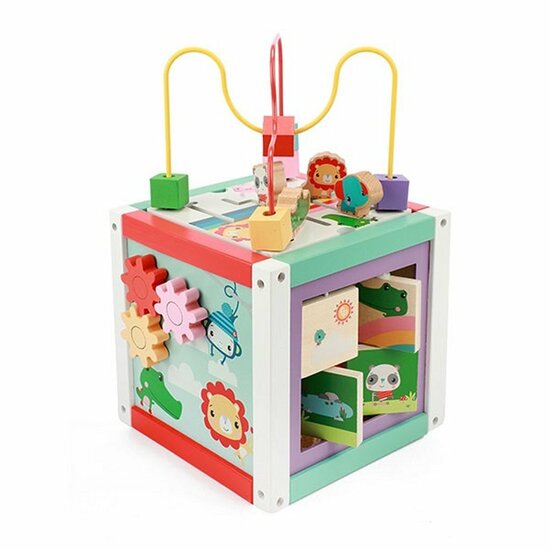 Fisher Price 5in1 Houten Activiteitenkubus